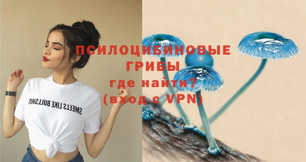 гидра Аркадак