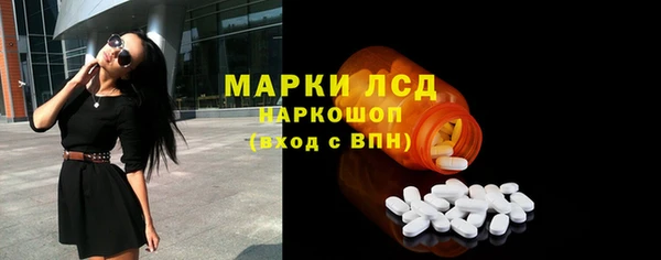прущие грибы Арсеньев