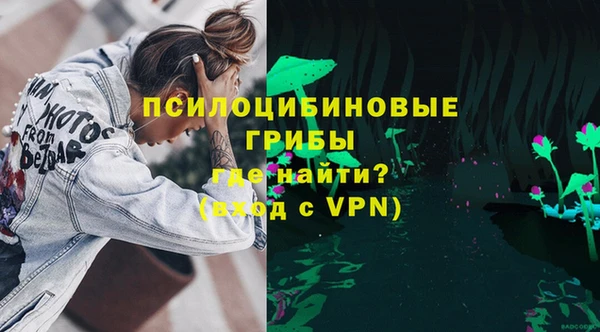 гидра Аркадак