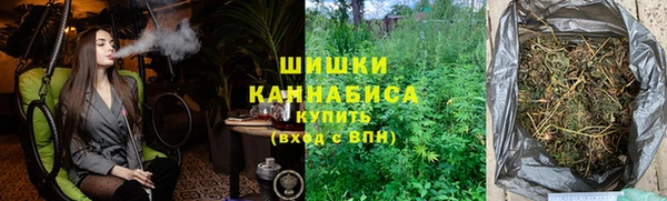 гидра Аркадак